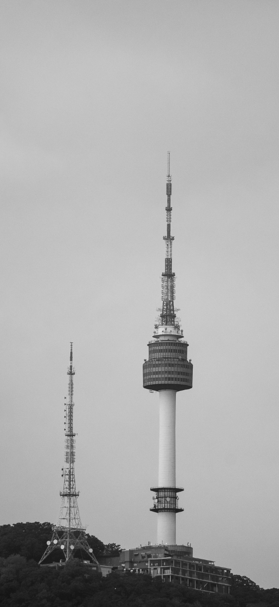 THE SITE